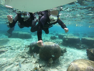 MalDive（モルダイブ）に投稿された画像（2020/10/21）