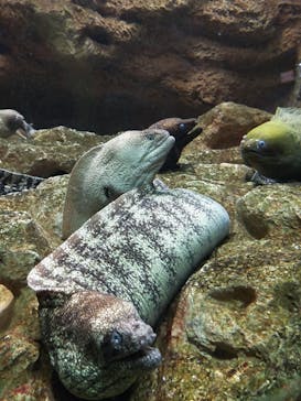 株式会社Gに投稿された画像（2020/10/21）