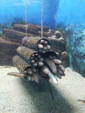 株式会社Gに投稿された画像（2020/10/21）