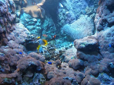 株式会社Gに投稿された画像（2020/10/21）