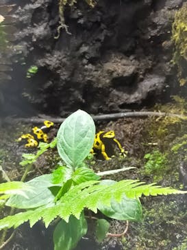 株式会社Gに投稿された画像（2020/10/21）