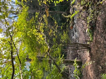 モダン湯治 おんりーゆーに投稿された画像（2020/10/21）