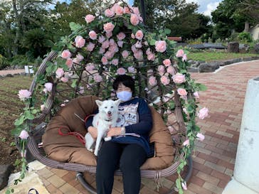 ニューヨークランプミュージアム＆フラワーガーデンに投稿された画像（2020/10/22）