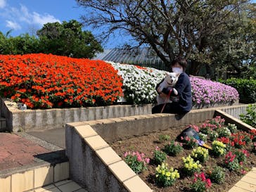 ニューヨークランプミュージアム＆フラワーガーデンに投稿された画像（2020/10/22）