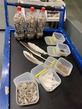 サンシャイン水族館に投稿された画像（2020/10/22）