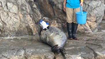 しながわ水族館に投稿された画像（2020/10/22）