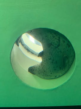 しながわ水族館に投稿された画像（2020/10/22）