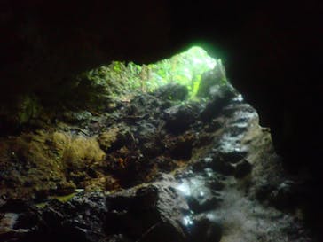 西表島 ADVENTURE PiPi（アドベンチャーピピ）に投稿された画像（2020/10/22）