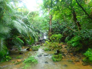 西表島 ADVENTURE PiPi（アドベンチャーピピ）に投稿された画像（2020/10/22）