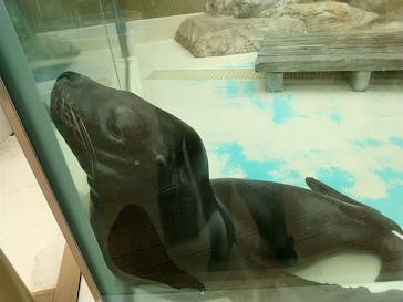 サンシャイン水族館に投稿された画像（2020/10/22）