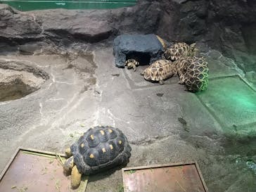 サンシャイン水族館に投稿された画像（2020/10/22）