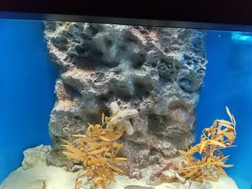 サンシャイン水族館に投稿された画像（2020/10/22）