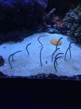 サンシャイン水族館に投稿された画像（2020/10/22）