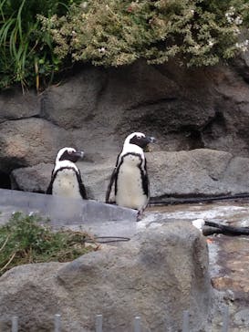 サンシャイン水族館に投稿された画像（2020/10/22）