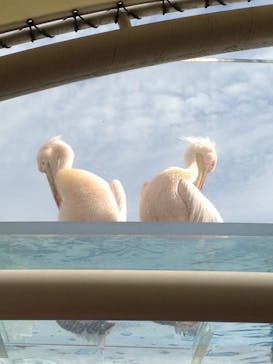 サンシャイン水族館に投稿された画像（2020/10/22）