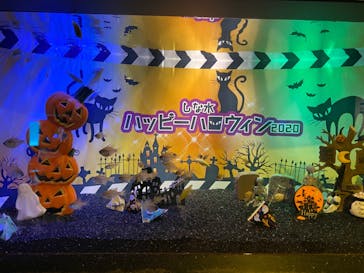 しながわ水族館に投稿された画像（2020/10/22）