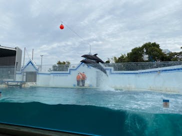 しながわ水族館に投稿された画像（2020/10/22）