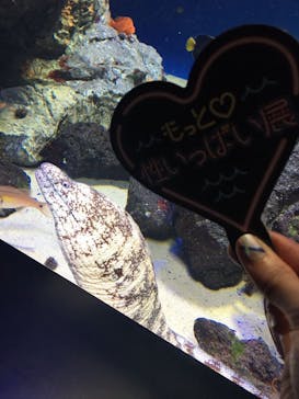 サンシャイン水族館に投稿された画像（2020/10/22）