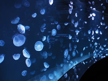 サンシャイン水族館に投稿された画像（2020/10/22）