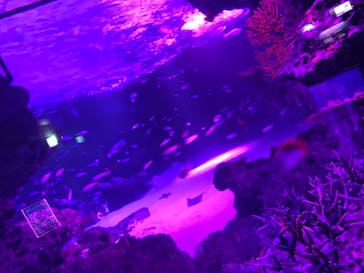 サンシャイン水族館に投稿された画像（2020/10/23）