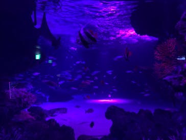 サンシャイン水族館に投稿された画像（2020/10/23）