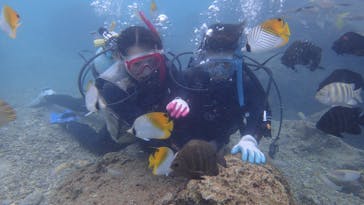 ダイビングショップ Sea Free（シーフリー）に投稿された画像（2020/10/23）