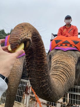 那須ワールドモンキーパークに投稿された画像（2020/10/23）