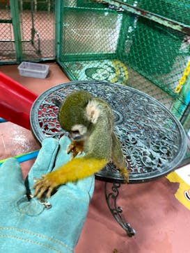 那須ワールドモンキーパークに投稿された画像（2020/10/23）