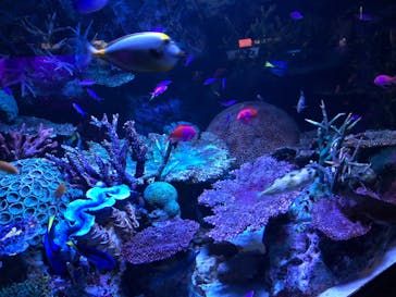 サンシャイン水族館に投稿された画像（2020/10/23）