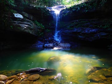 西表島 ADVENTURE PiPi（アドベンチャーピピ）に投稿された画像（2020/10/23）