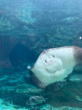 株式会社Gに投稿された画像（2020/10/23）