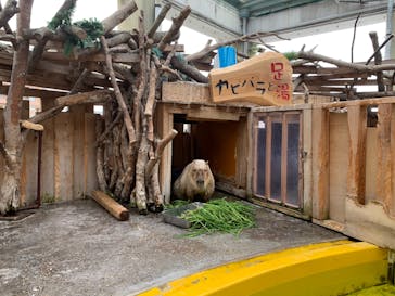 株式会社Gに投稿された画像（2020/10/23）