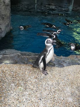 株式会社Gに投稿された画像（2020/10/23）