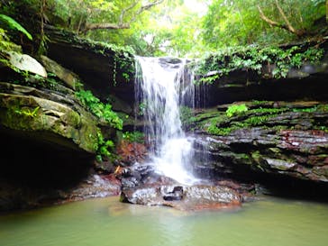 西表島 ADVENTURE PiPi（アドベンチャーピピ）に投稿された画像（2020/10/23）