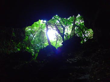 西表島 ADVENTURE PiPi（アドベンチャーピピ）に投稿された画像（2020/10/23）