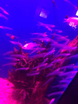 サンシャイン水族館に投稿された画像（2020/10/23）