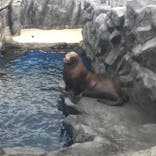 鳥羽水族館に投稿された画像（2020/10/24）