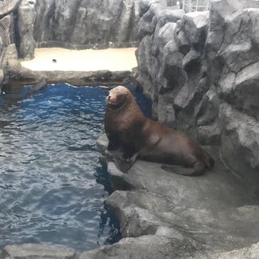 鳥羽水族館に投稿された画像（2020/10/23）