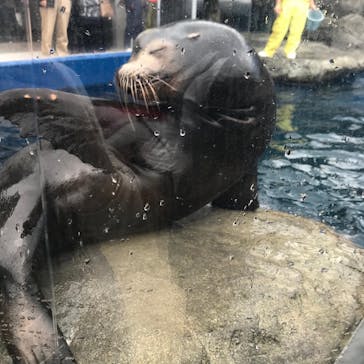 鳥羽水族館に投稿された画像（2020/10/23）