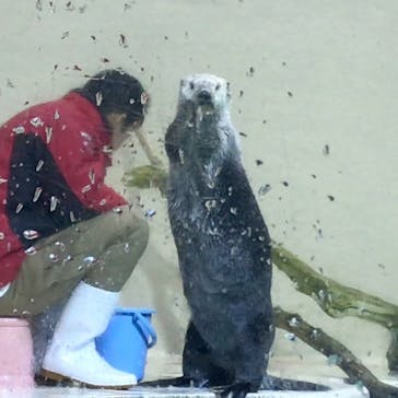 鳥羽水族館に投稿された画像（2020/10/23）