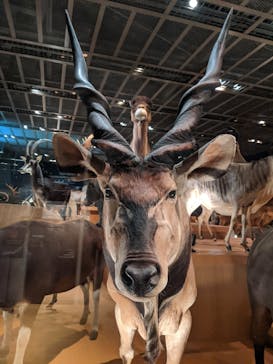 国立科学博物館に投稿された画像（2020/10/24）