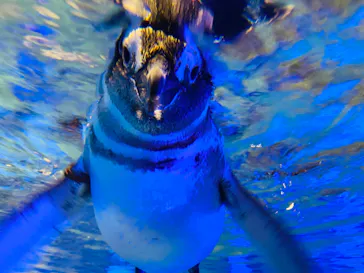 すみだ水族館に投稿された画像（2020/10/24）