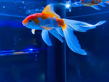すみだ水族館に投稿された画像（2020/10/24）