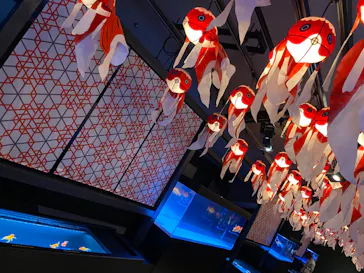 すみだ水族館に投稿された画像（2020/10/24）