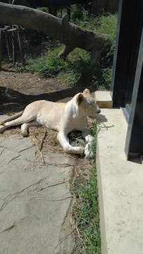 沖縄こどもの国に投稿された画像（2020/10/24）