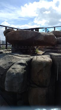 沖縄こどもの国に投稿された画像（2020/10/24）