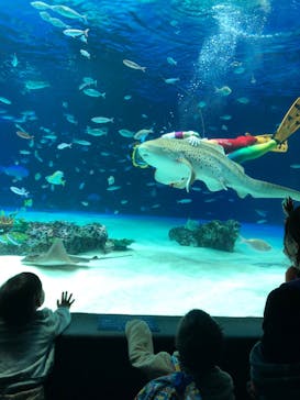 サンシャイン水族館に投稿された画像（2020/10/24）
