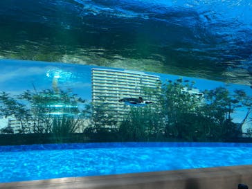 サンシャイン水族館に投稿された画像（2020/10/24）