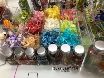 ずこうしつ〜sugamo〜に投稿された画像（2020/10/24）