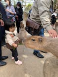 神戸どうぶつ王国に投稿された画像（2020/10/24）